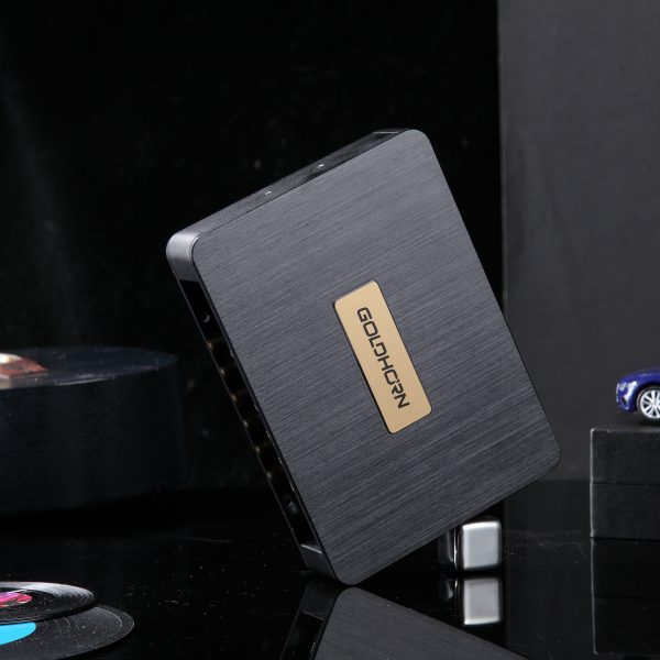 GOLDHORN DSPA 406 DSP Amplifier - Image 2