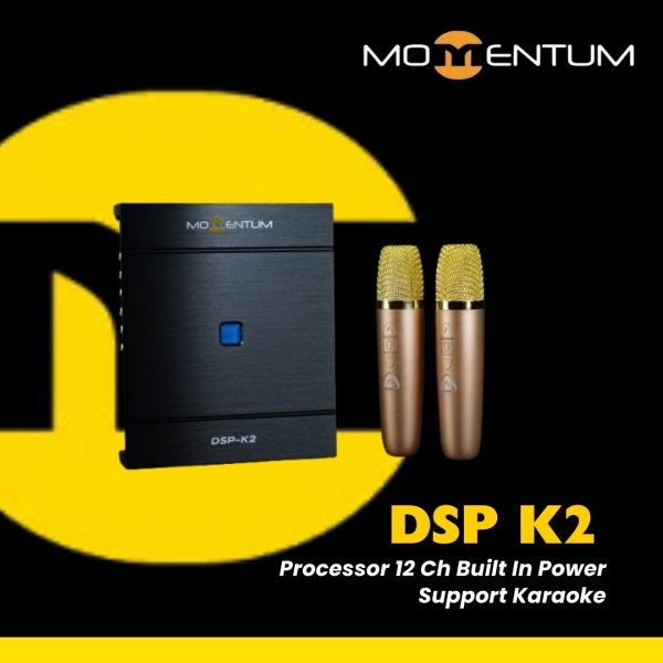Momentum K2 DSP Amplifier 12CH Built-in Power Support Karaoke - Image 4